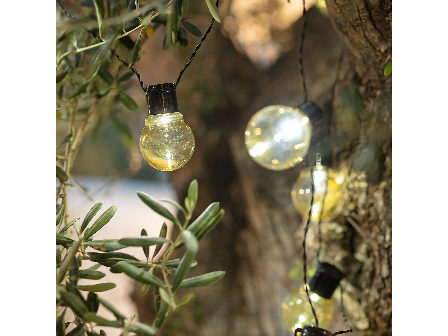 Guirlande d’Ampoules LED Solaire Nikola 2m 6000K Blanc froid