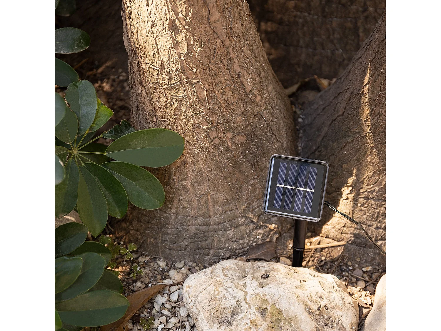 Ghirlanda LED Solare per Esterni 30 Sfere 5m 5000K Bianco Freddo