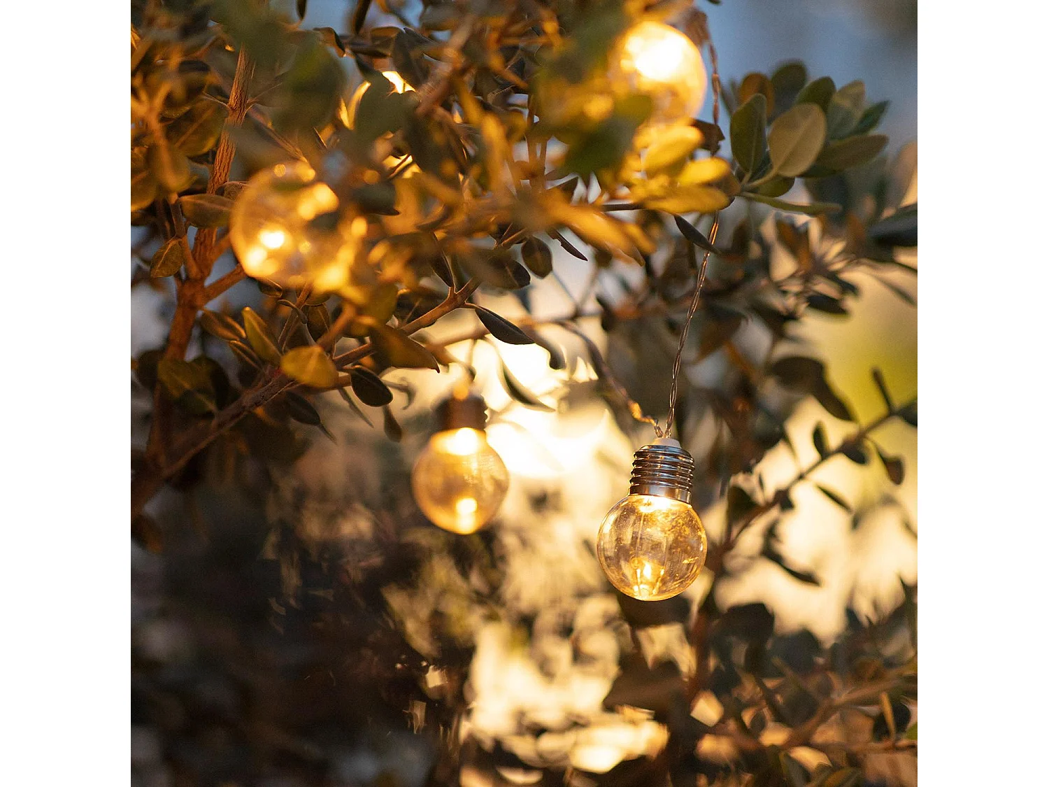 Guirlande d’Ampoules LED Solaire Galilei 2m  3000K Blanc chaud