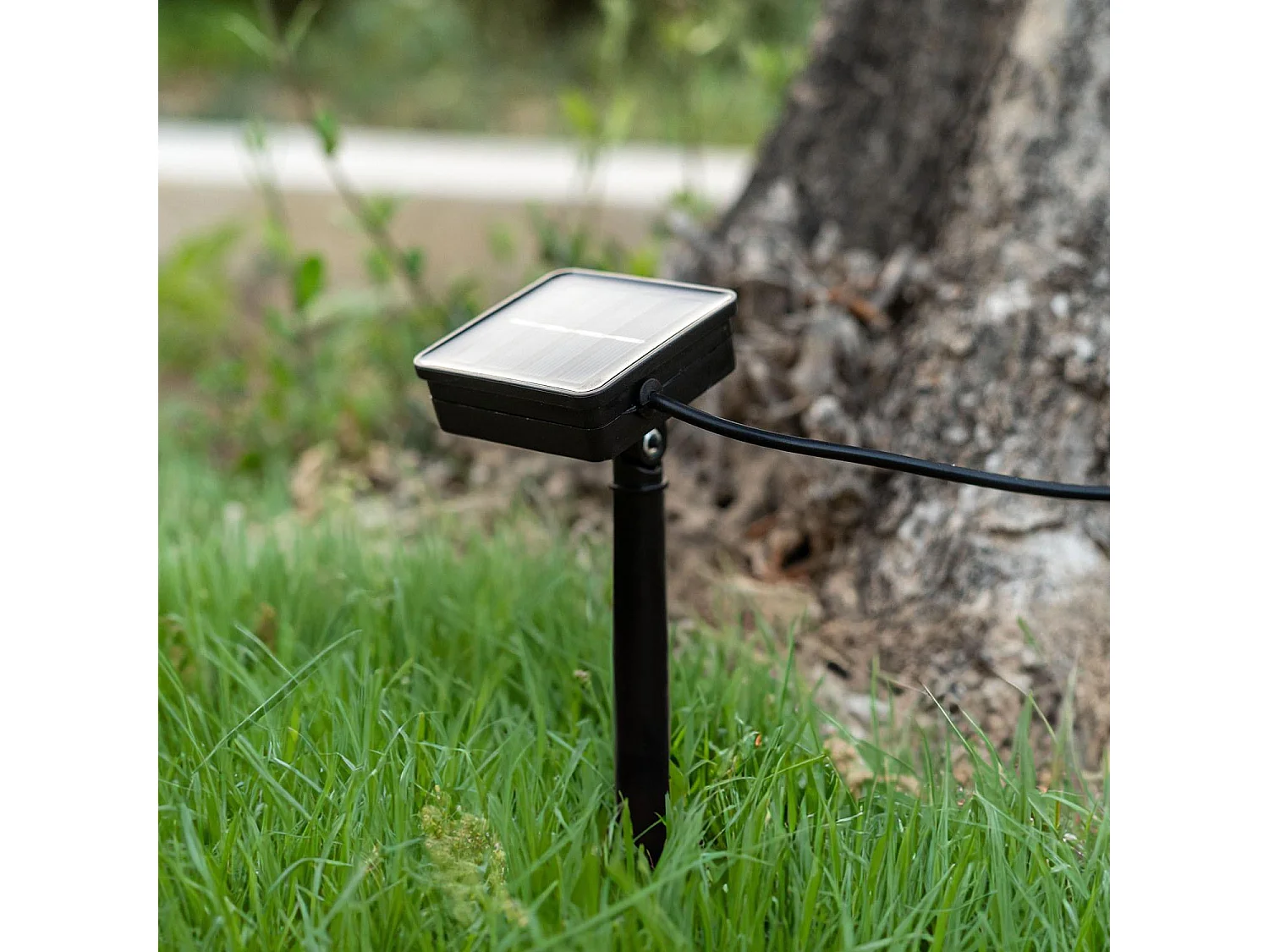 Guirnalda Solar Exterior LED de Bombillas Kodos 6.5m 3000K Blanco Cálido