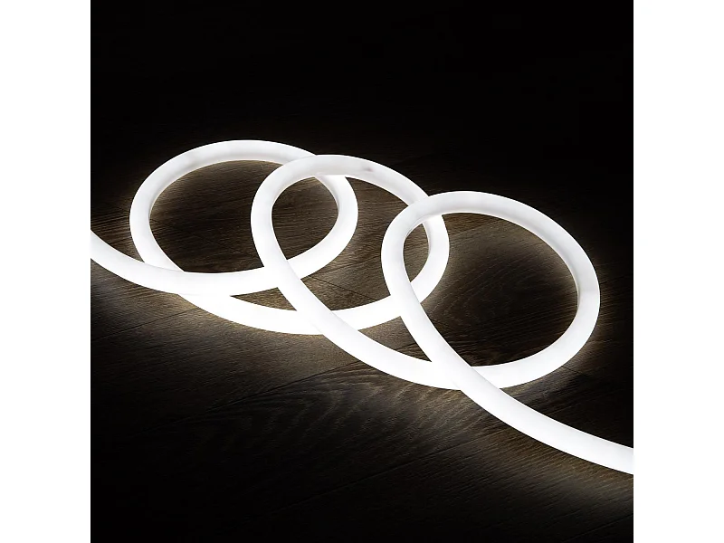 Striscia LED Neon Regolabile 220V Bianco Freddo Circolare 360 9W/m IP67 Taglio 100cm 3 m