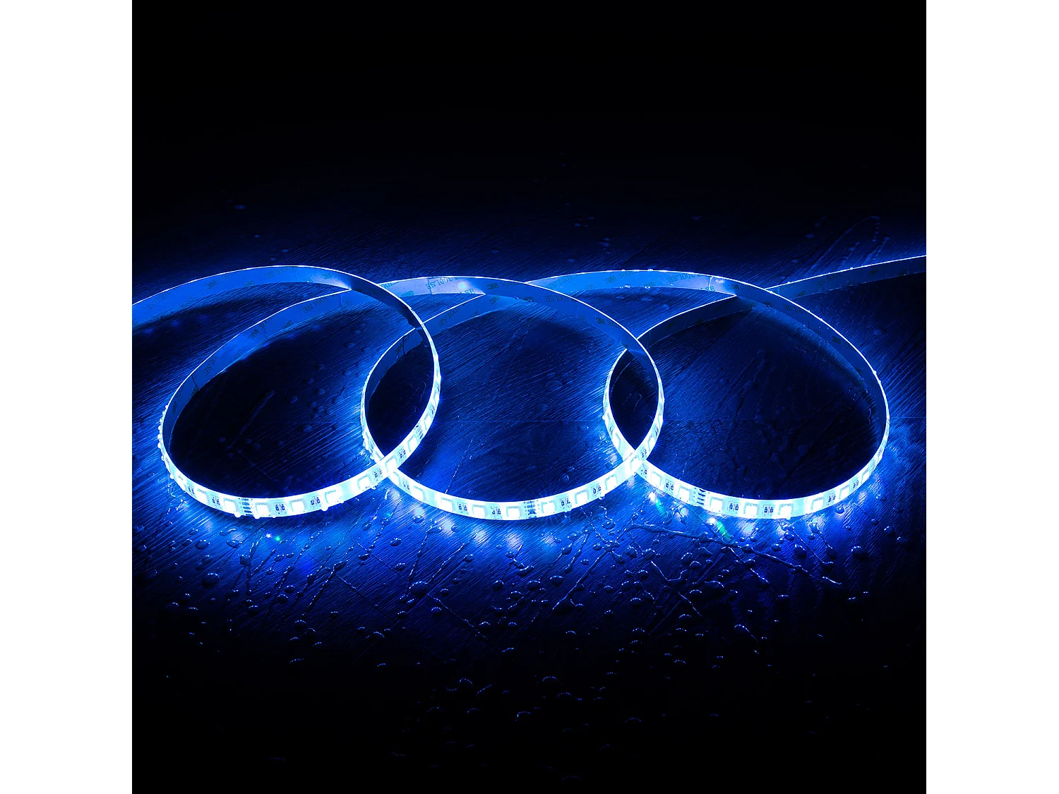 Bobina 5m Striscia LED 24V RGBW SMD 60LED/m 12W/m Larga 12mm IP65 Taglio 10cm RGBW