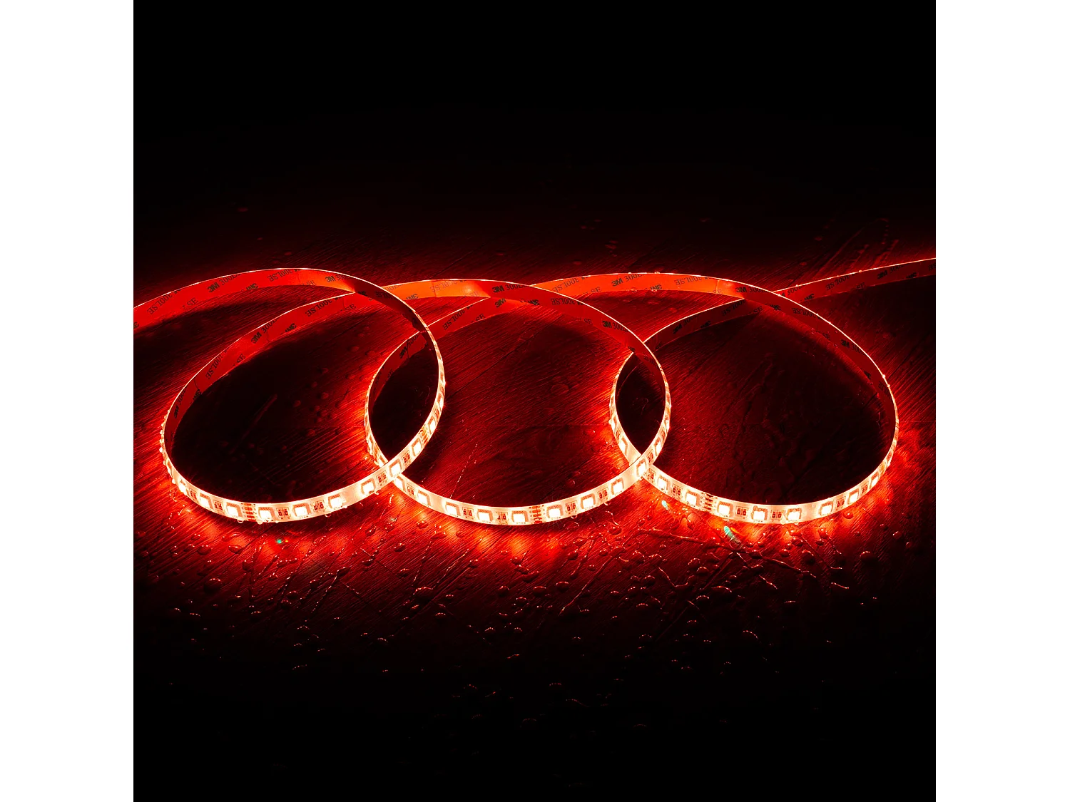 Bobina 5m Striscia LED 24V RGBW SMD 60LED/m 12W/m Larga 12mm IP65 Taglio 10cm RGBW