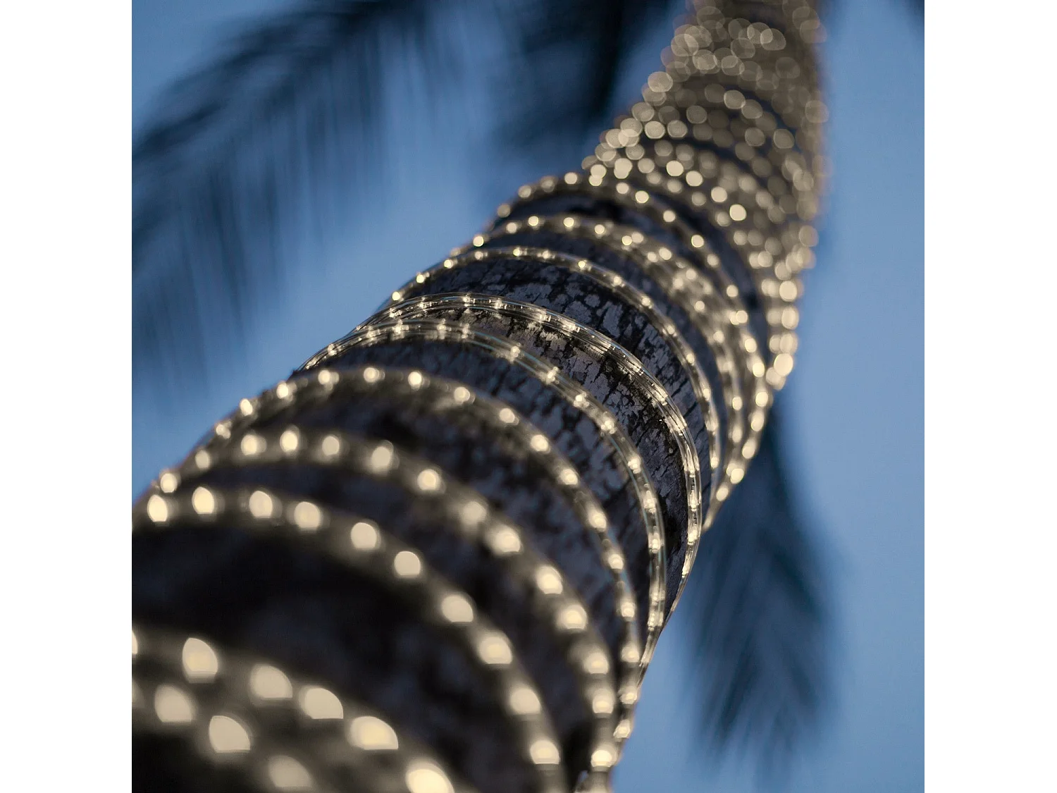 Tubo Flessibile LED Circolare 220V AC 36 LED/m Bianco Freddo IP65 Taglio 100cm 1 m