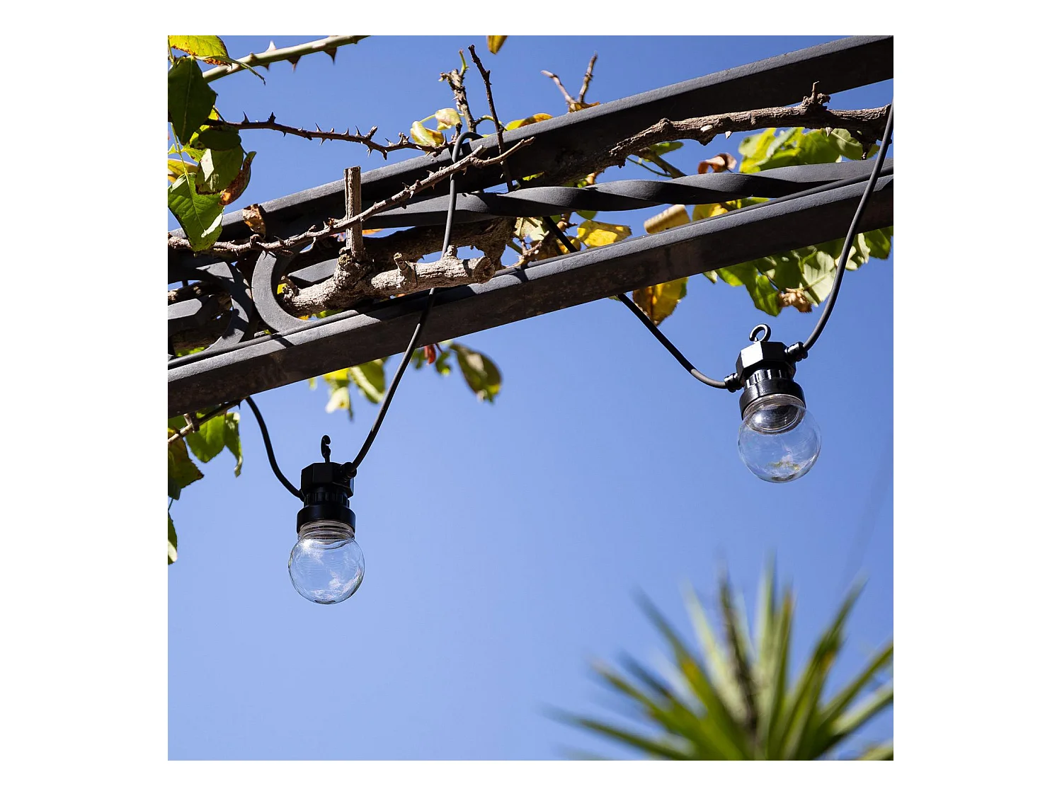 Guirlande Solaire Extérieure d'Ampoule LED Kepler 7m Transparent