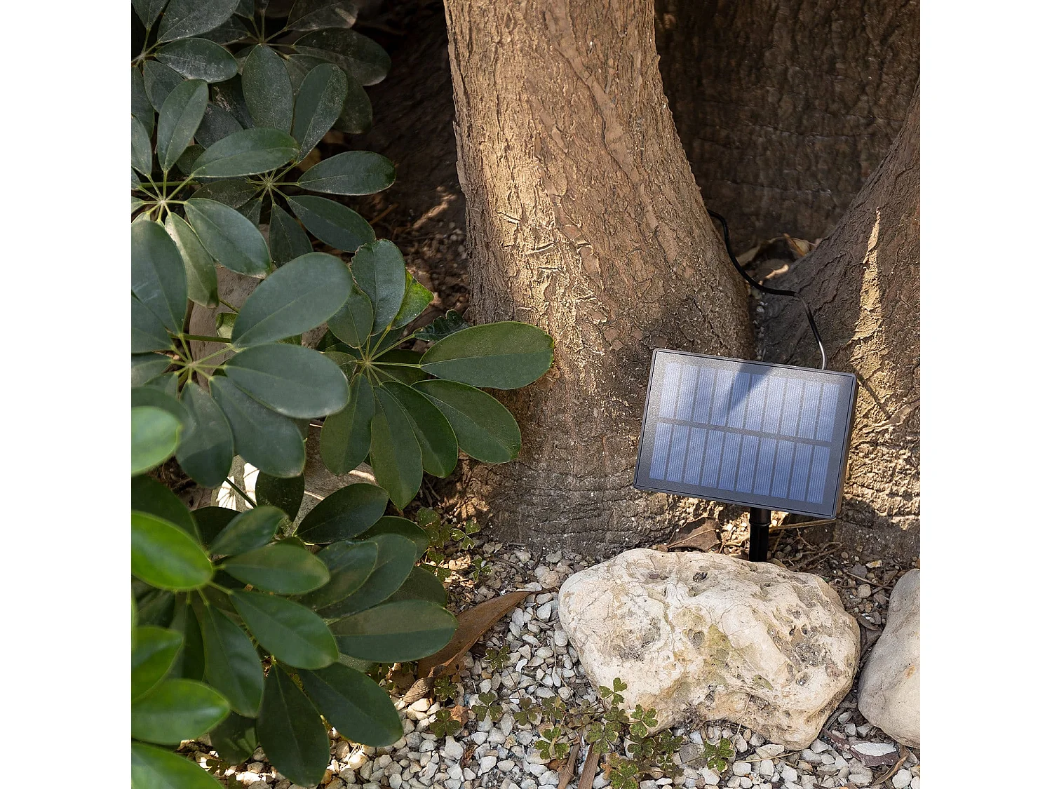 Guirnalda de Bombillas LED Solar Exterior Kuiper 7m Blanco