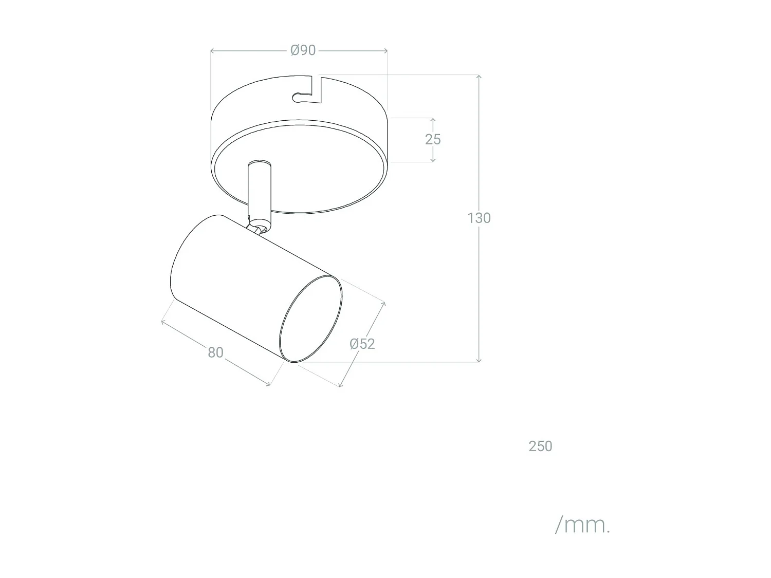 Plafonnier Orientable Métal 1 Spot Albus Black Noir