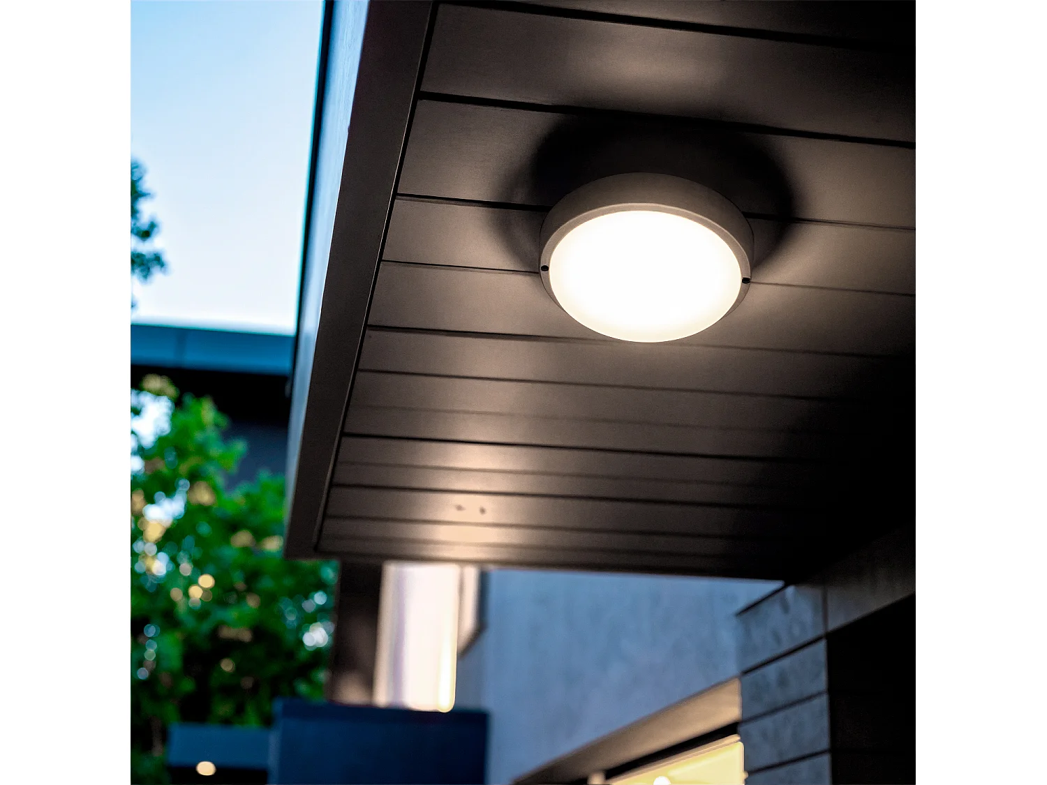 Plafón LED 25W Circular para Exterior Ø175 mm IP65 Black 4000K Blanco Neutro