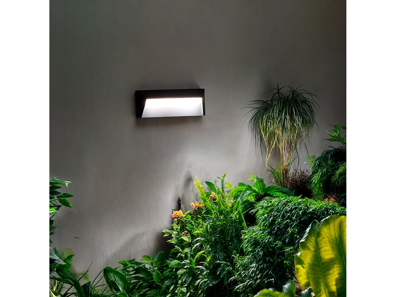 Balise LED Extérieure 2W en Saillie au Mur Chester 4000K Blanc neutre