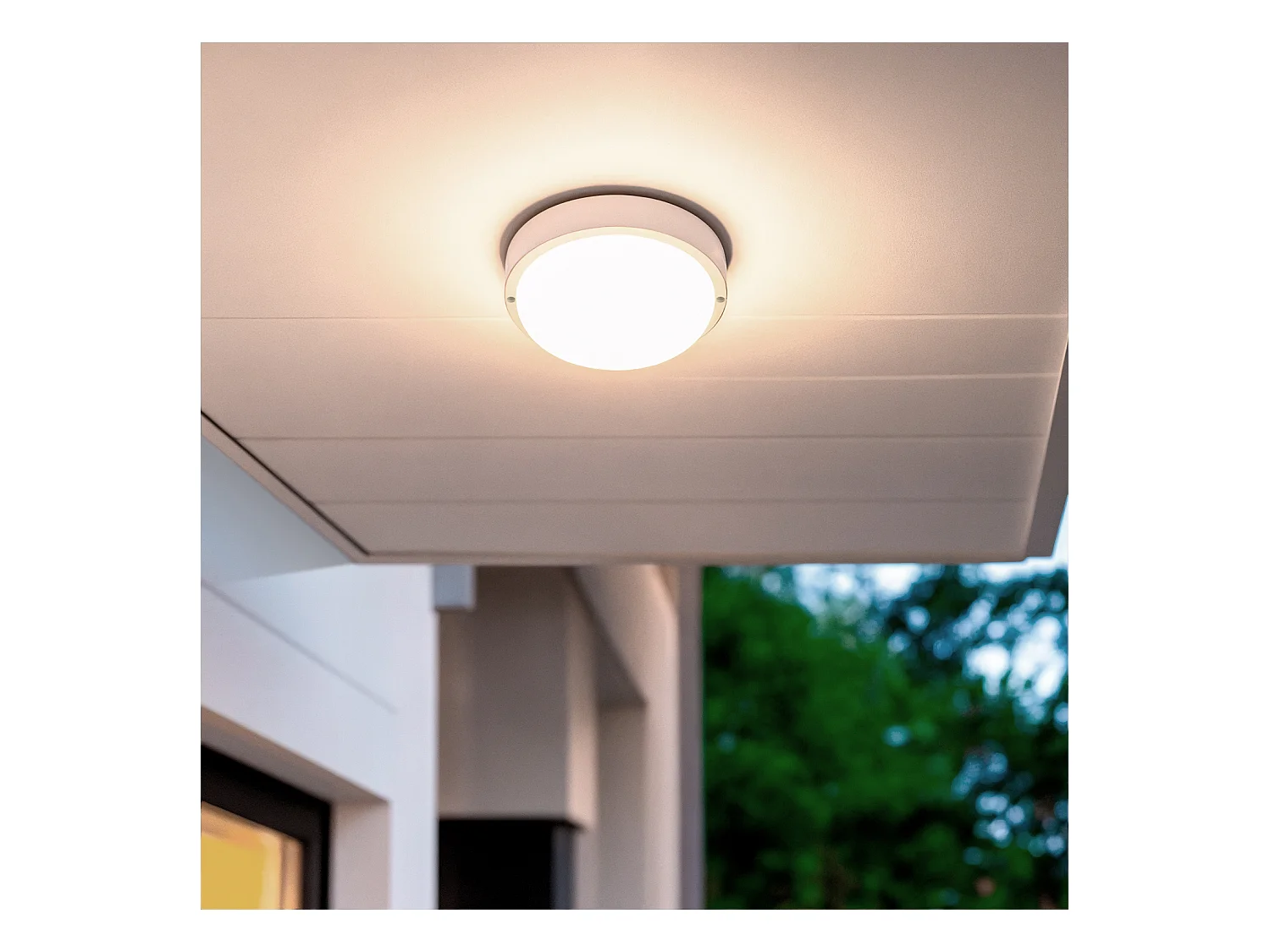 Plafonnier LED Extérieur Rond 25W Hublot White IP65 Ø175 mm 6500K Blanc froid