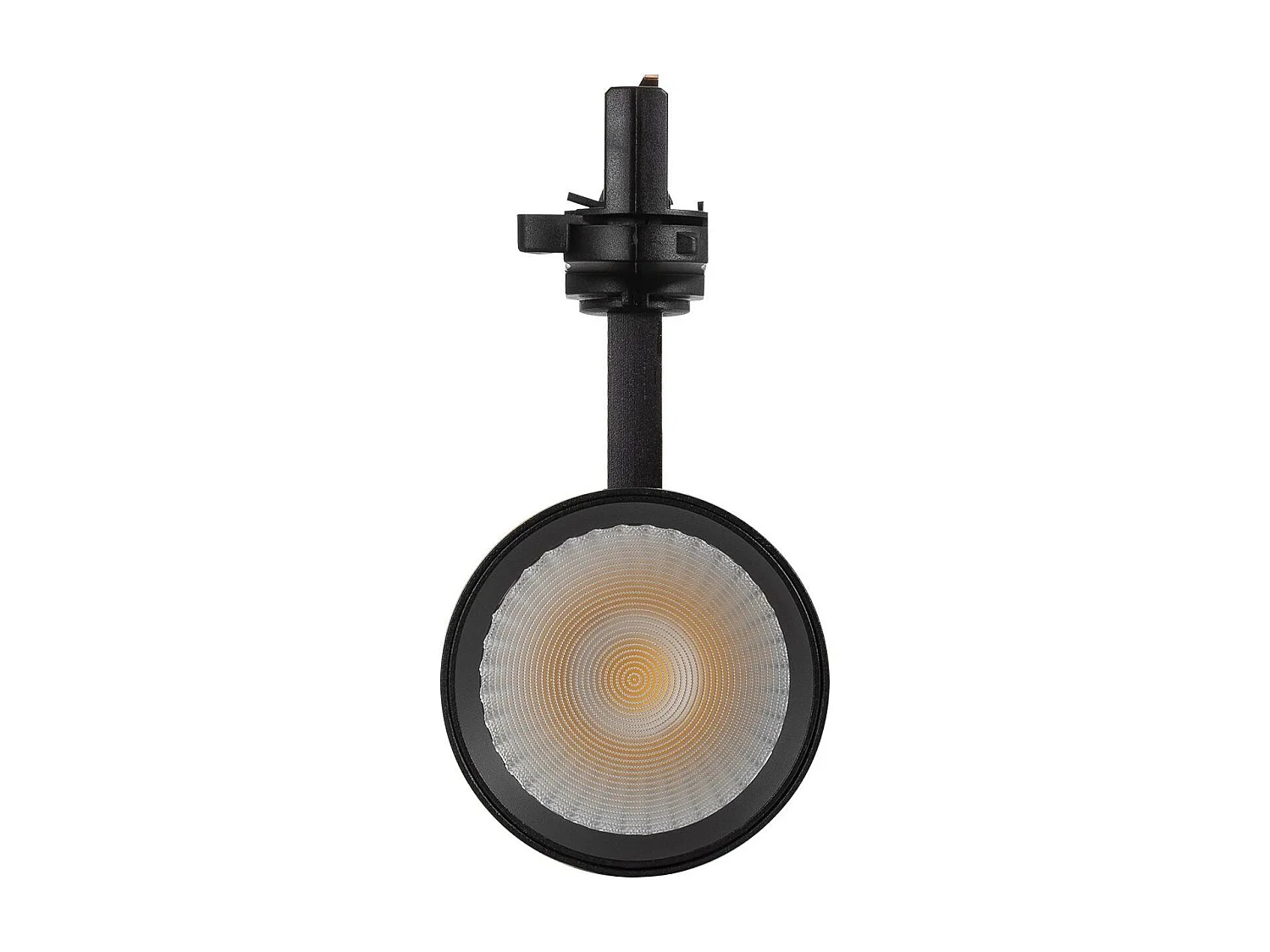 Spot LED sur Rail Triphasé 30W Bertha  Noir 3000K Blanc chaud