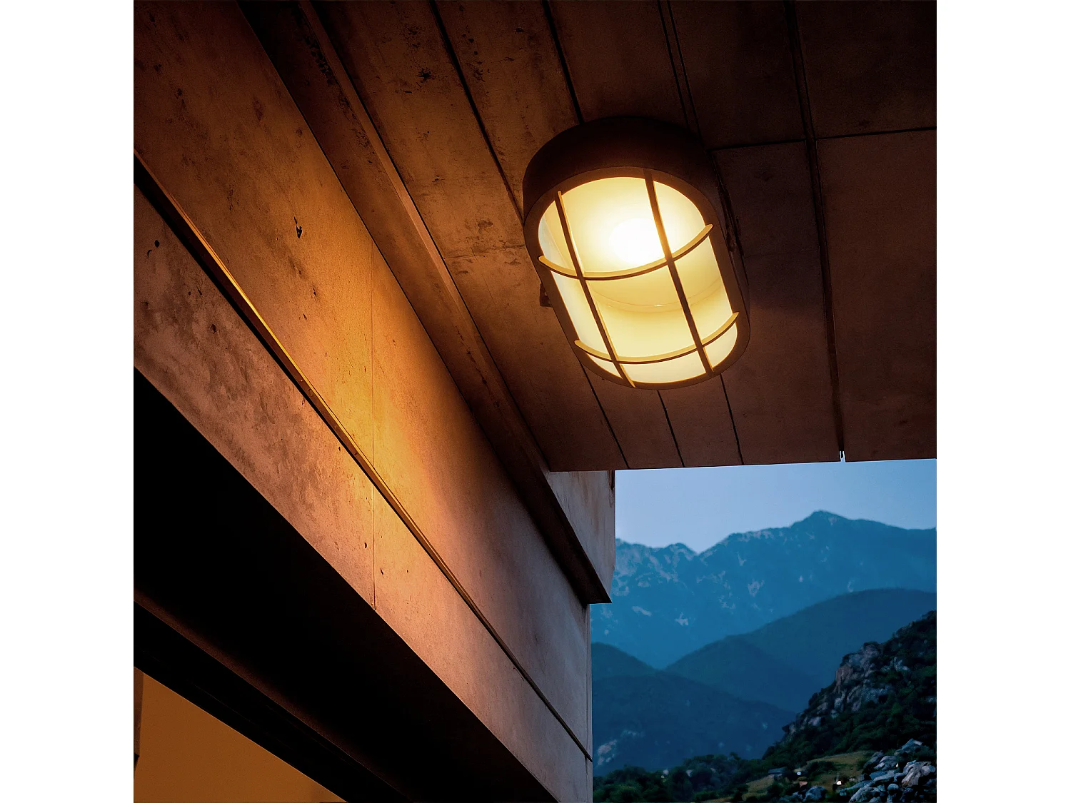 Plafonnier Extérieur Ovale à Grille  220x120 mm Noir