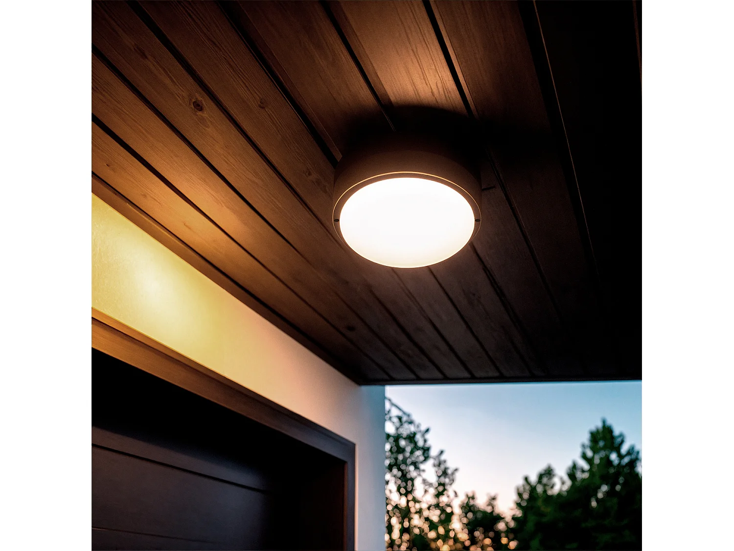 Plafón LED 25W Circular para Exterior Ø175 mm IP65 Black 6500K Blanco Frío