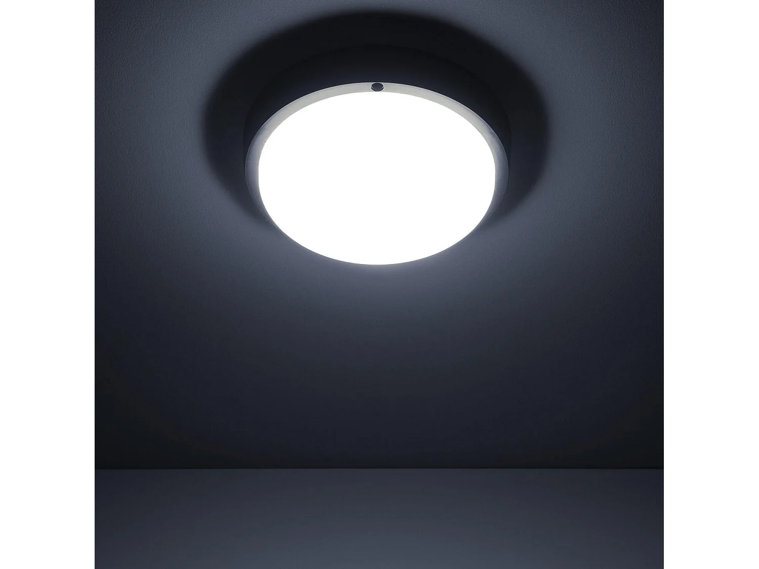 Plafón LED 25W Circular para Exterior Ø175 mm IP65 Black 6500K Blanco Frío