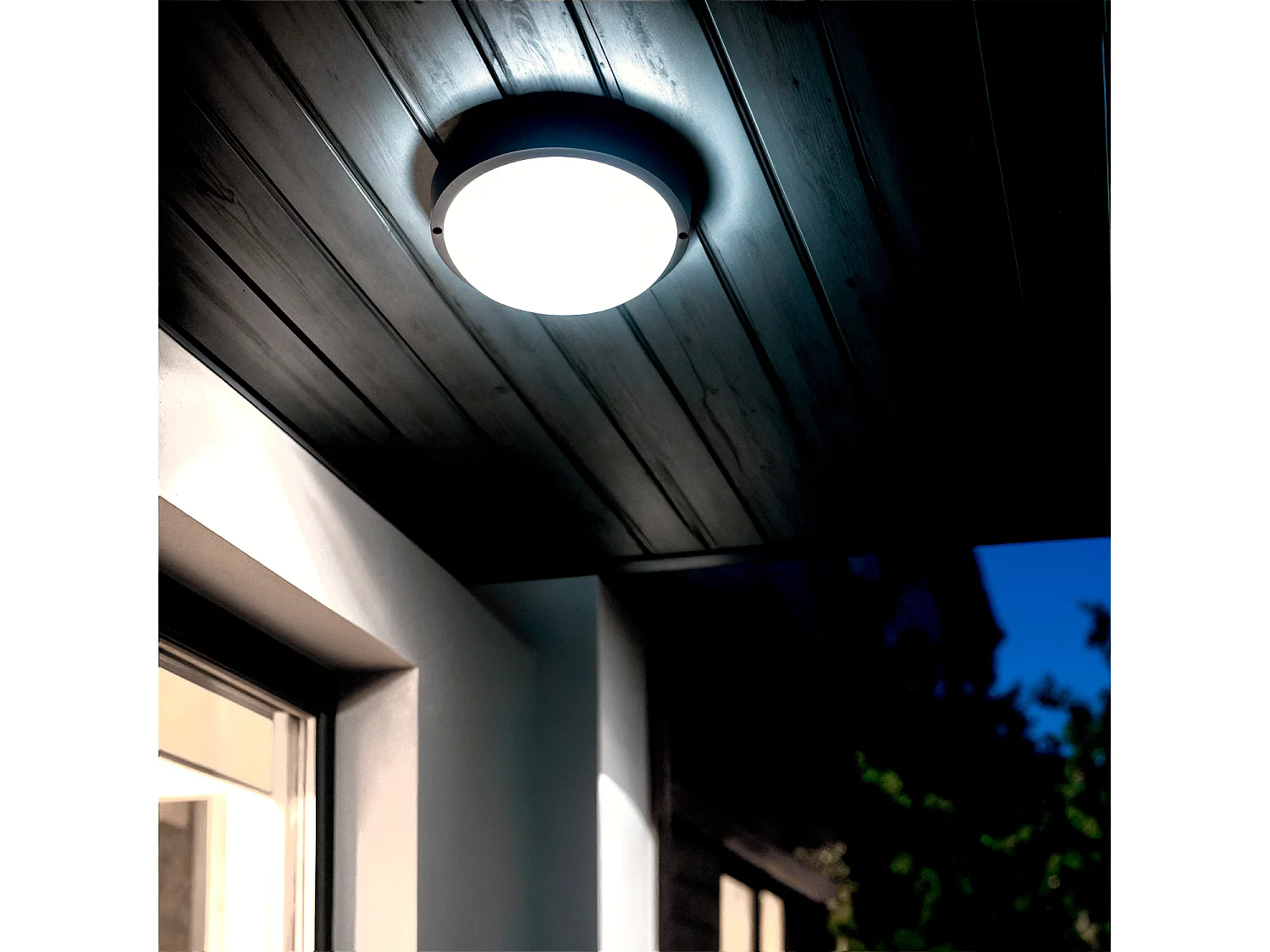 Plafoniera LED 25W Circolare per Esterni Ø175 mm IP65 Black 6500K Bianco Freddo