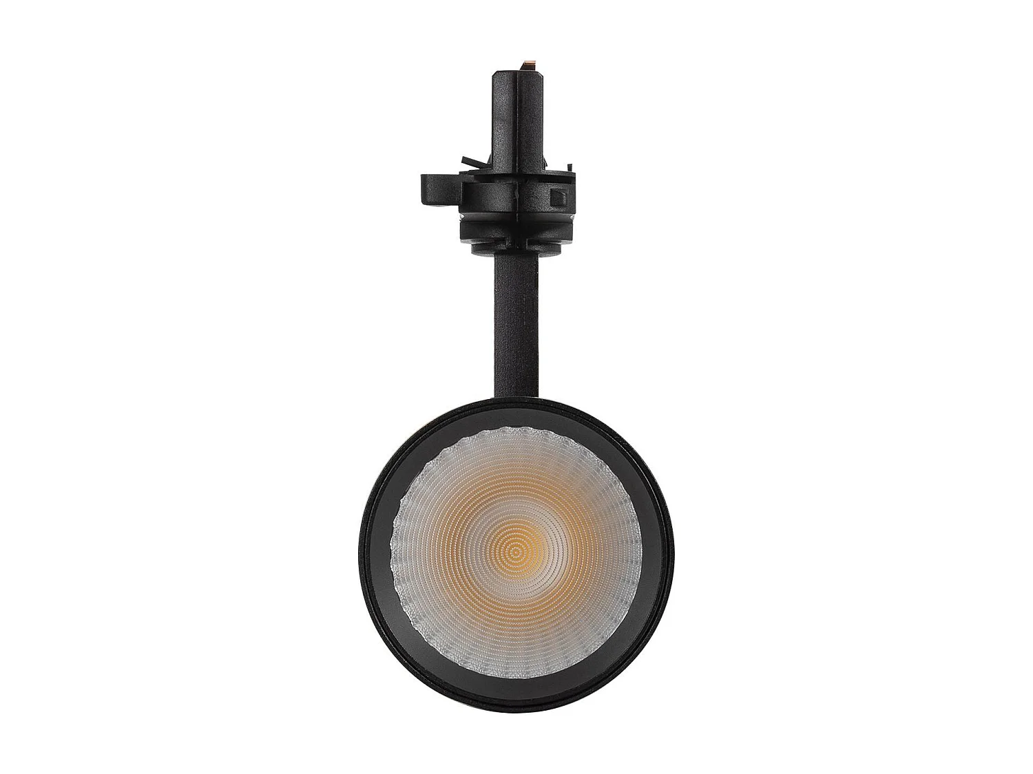 Spot LED sur Rail Triphasé 30W Bertha  Noir 6000K Blanc froid