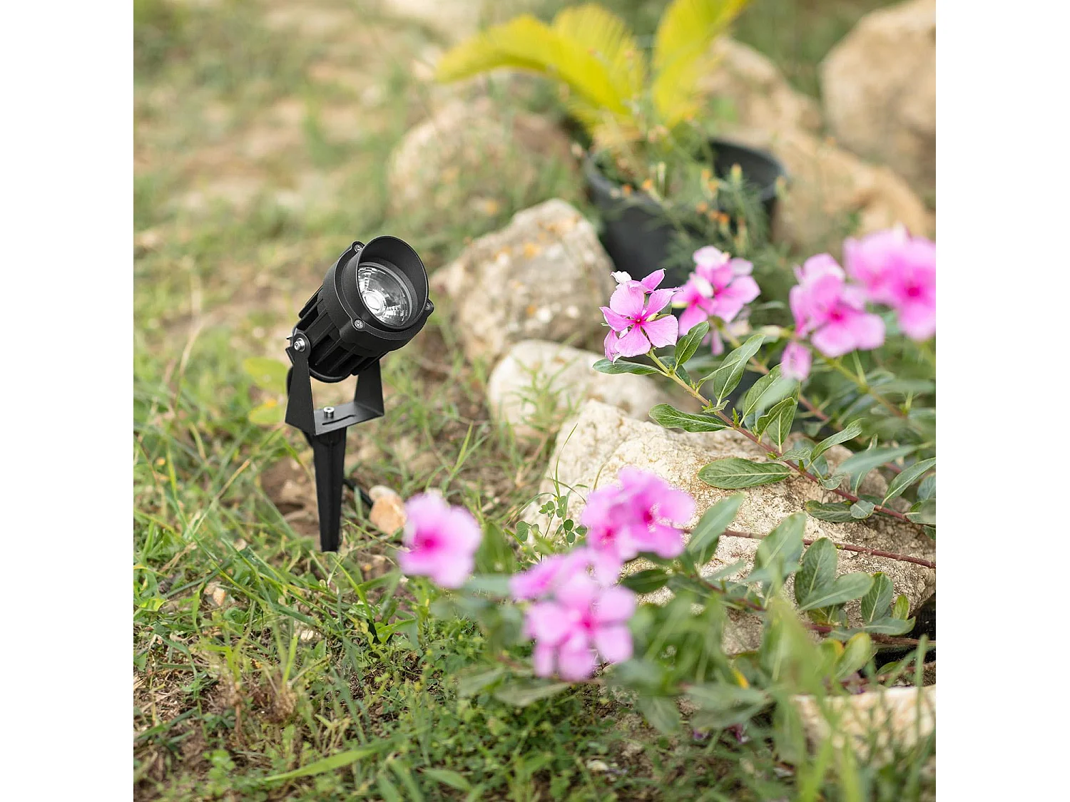 Faretto per Esterno LED RGB 10W con Picchetto Vetusta RGB