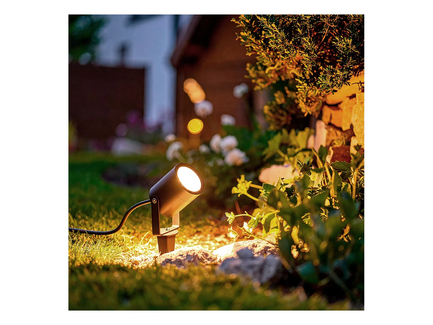 Spot Extérieur LED 3W sur Piquet Fern EasyFit 12V Noir