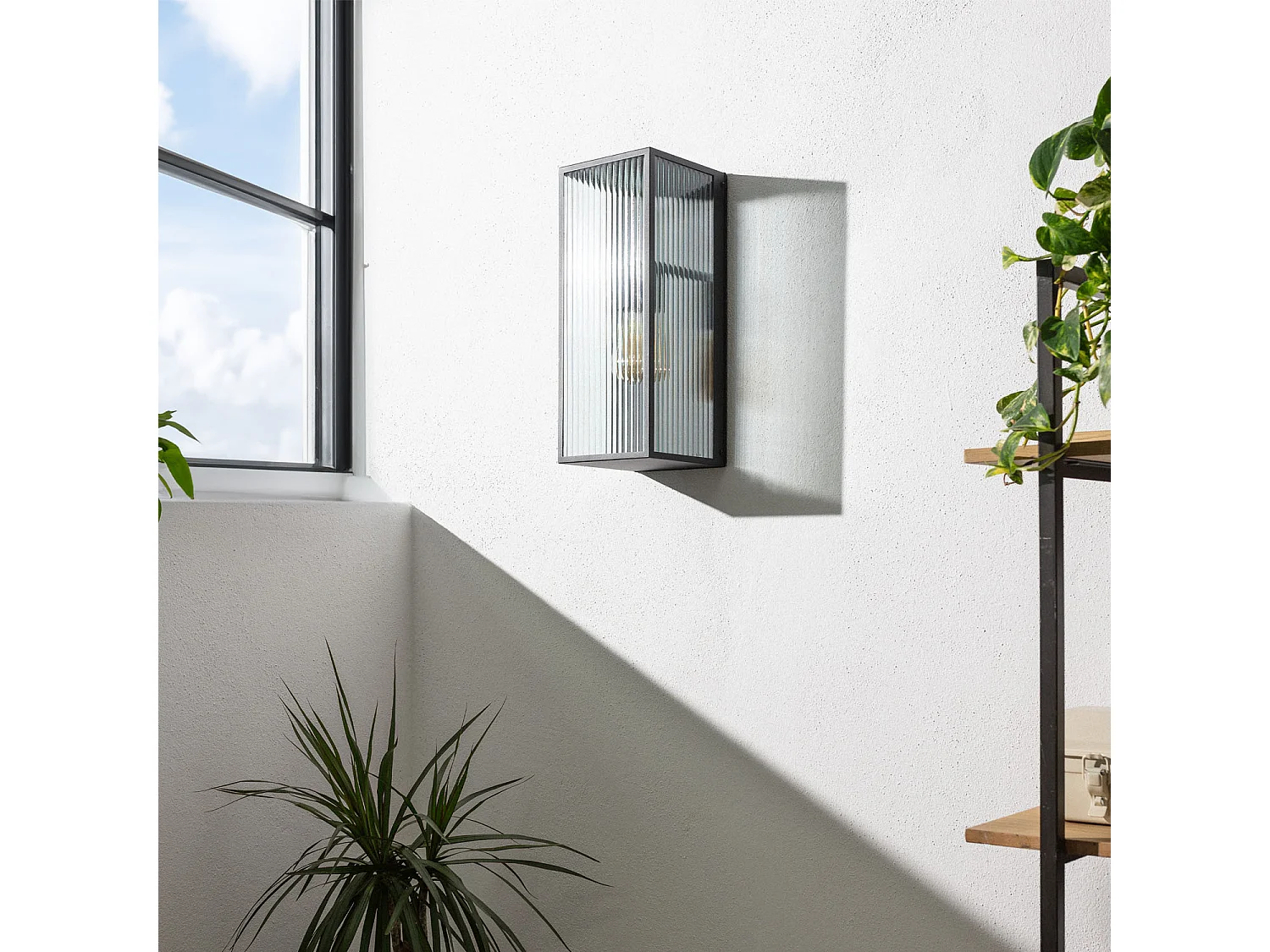 Aplique de Pared Exterior Metal y Cristal Big Taiga Negro