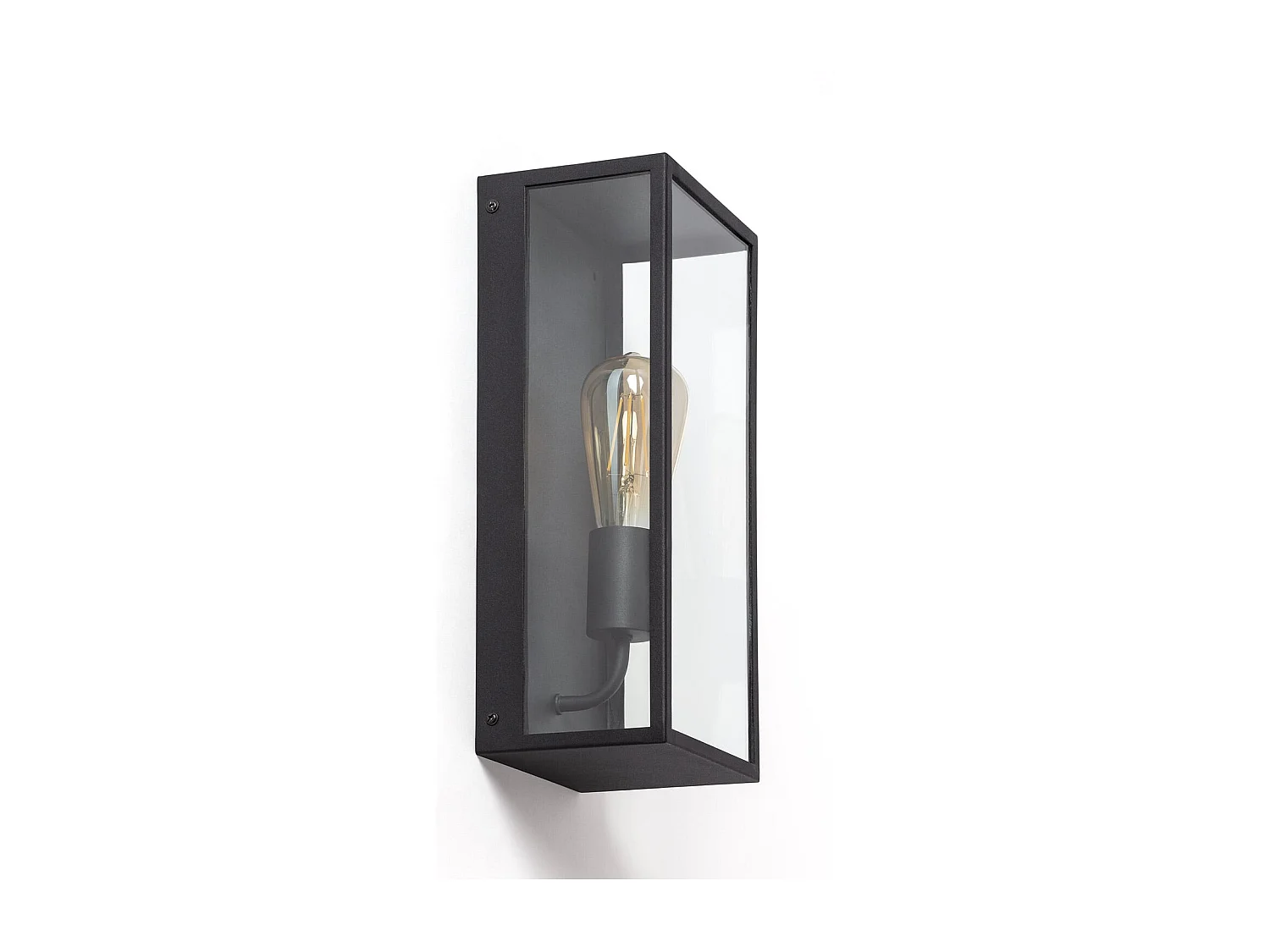 Aplique de Pared Exterior Metal y Cristal Zeila Negro