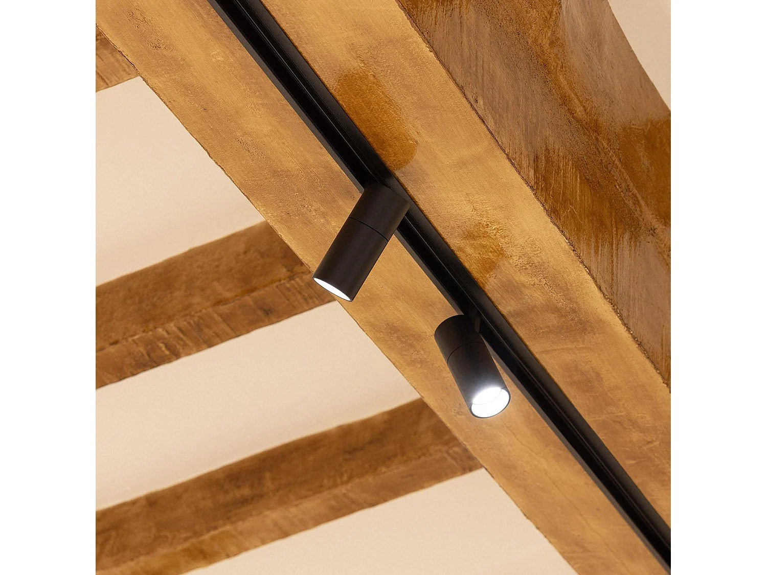 Spot LED sur Rail Magnétique 20mm 20W 48V Noir