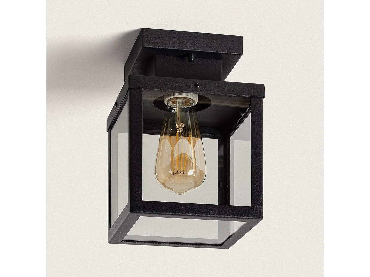 Plafonnier Extérieur Acier Inoxydable Theia Noir