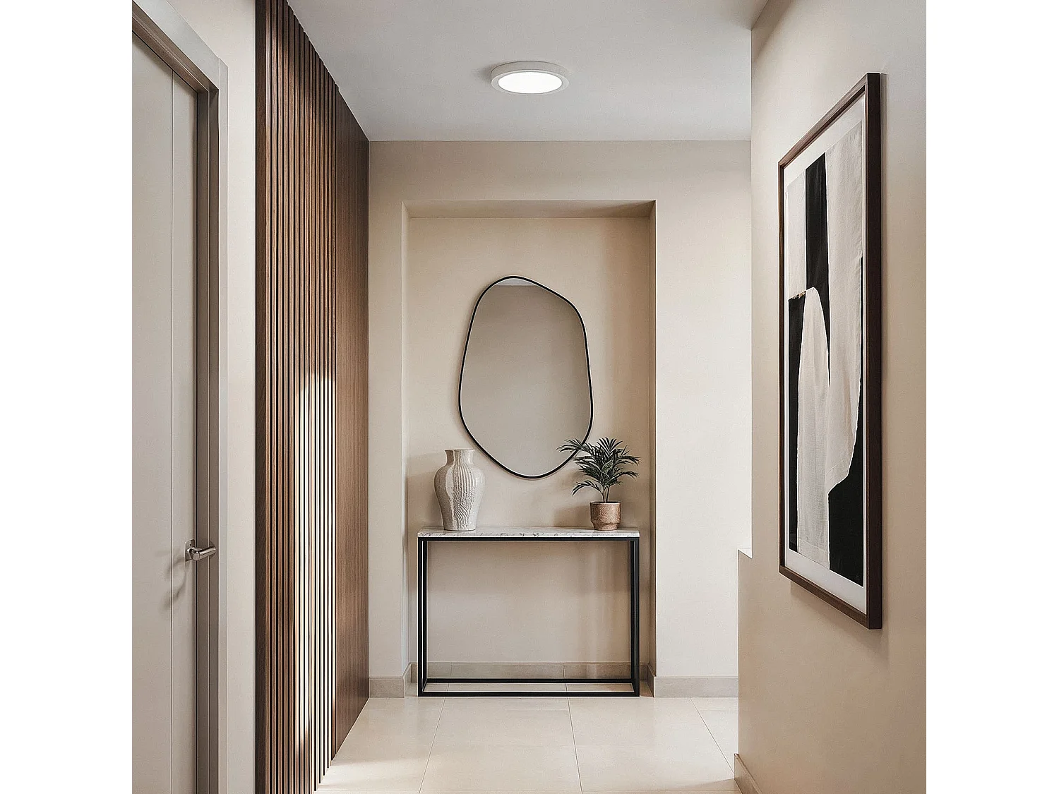 Plafonnier LED Rond 24W Ø295 mm 5000K Blanc froid