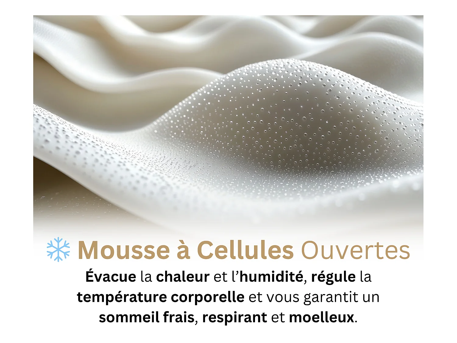 Matelas 180x200 2 Places Harmonic Plus - Mémoire de Forme 60 kg/m³ Haute Qualité - Contre le Mal de Dos - Épaisseur 24 Cm - Confortable