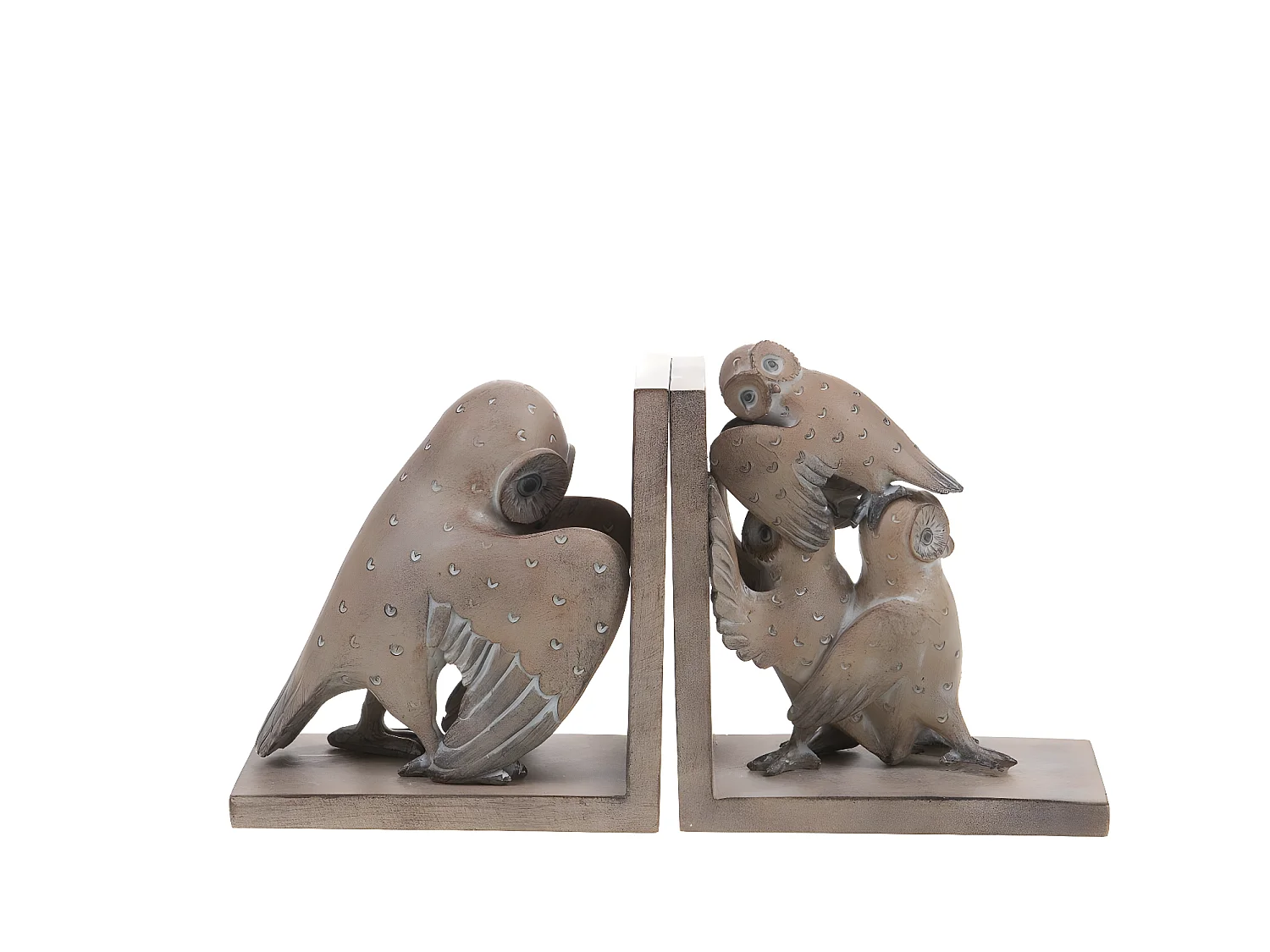 Serre livre famille chouette