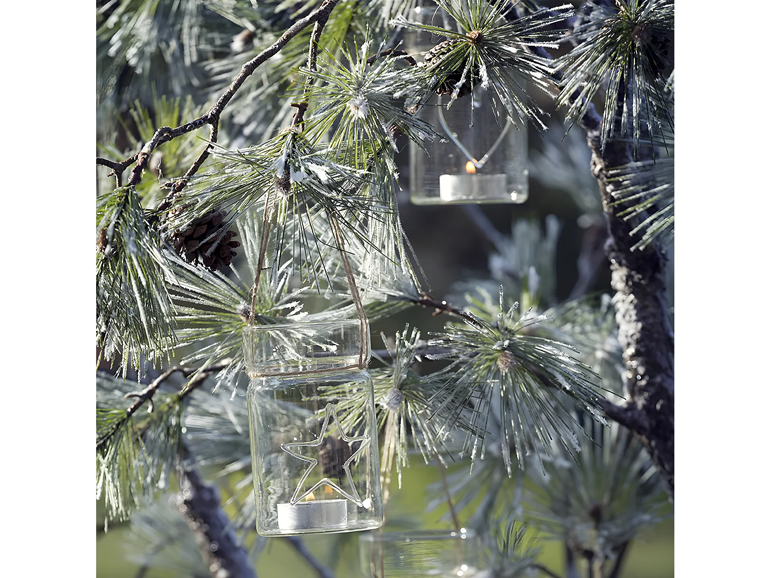 Vases à accrocher Noël Petit Format - Transparent