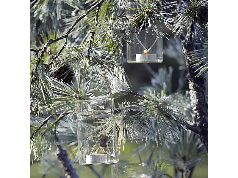 Vases à accrocher Noël Petit Format - Transparent
