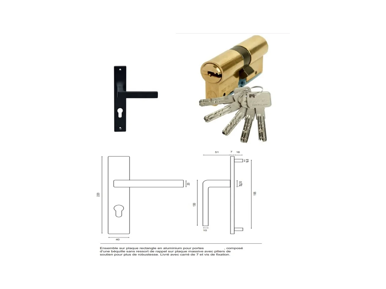 Porte d'entree Tiercee Bois vitree Marine H215 x L130 p,gauche + Poignee Et Barillet (ref 010403RFP) Cotes Tableau