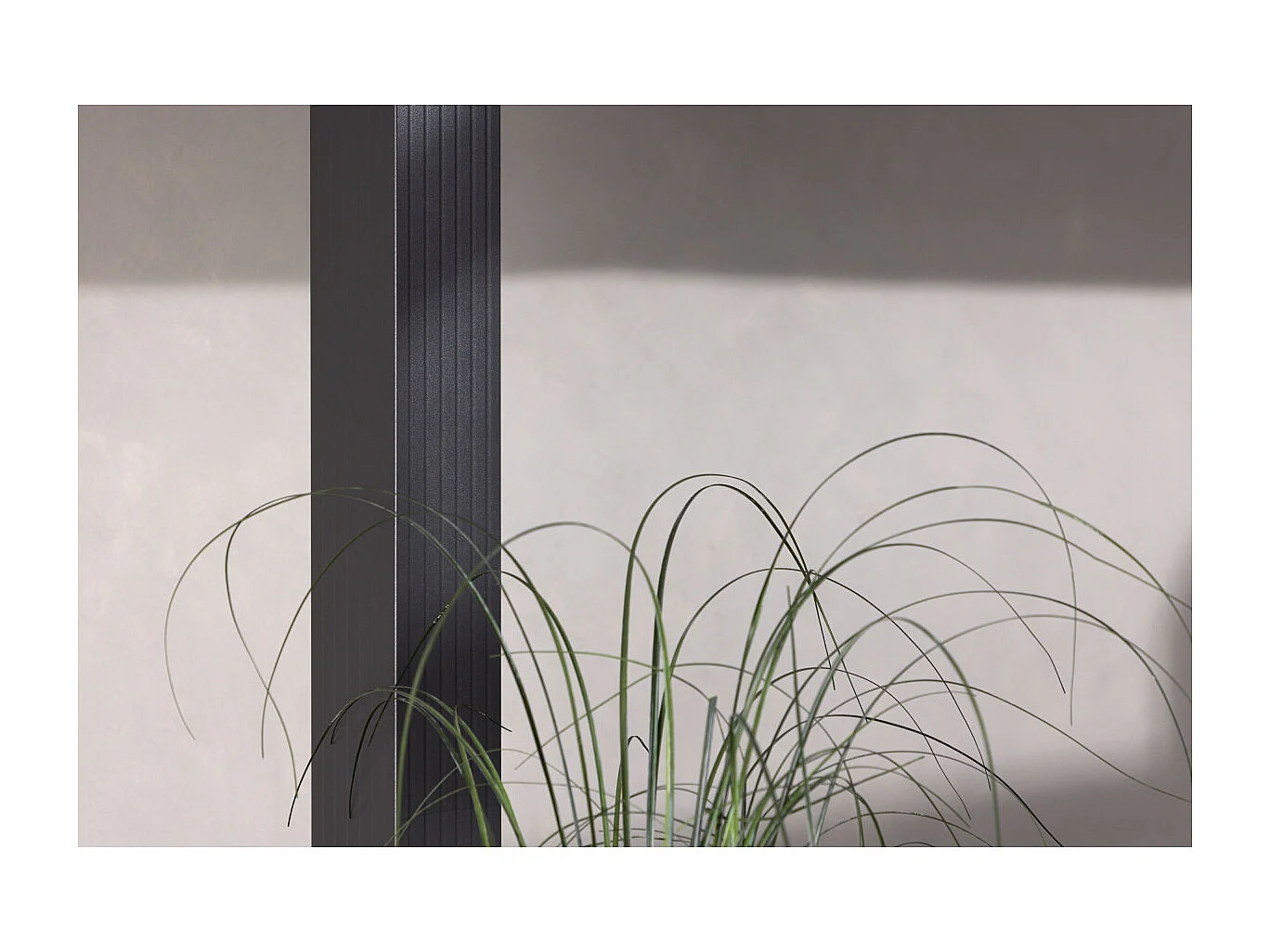 Pergola Avec Toit "Lazio" 295cm Gris Foncé