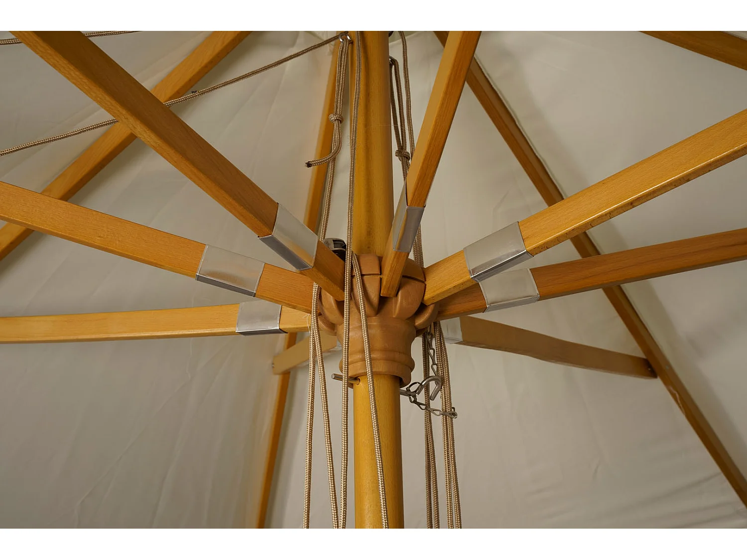 Naxos parasol wit, natuur.