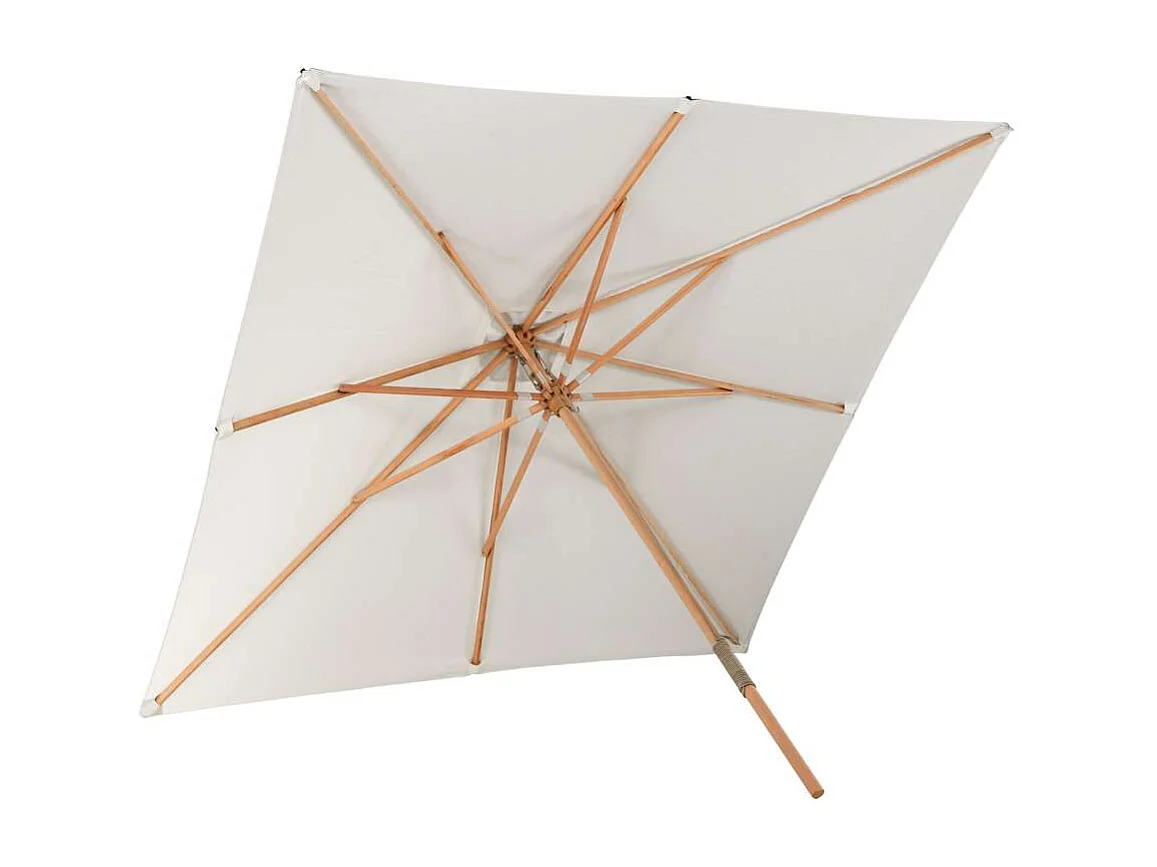 Naxos parasol wit, natuur.