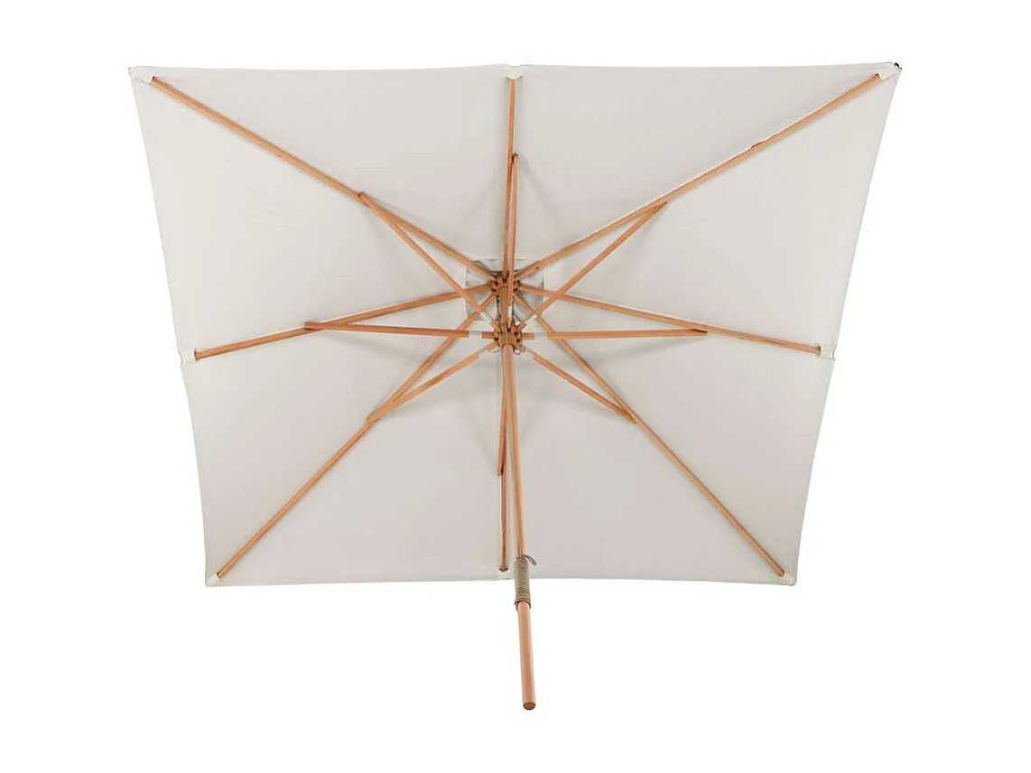 Naxos parasol wit, natuur.