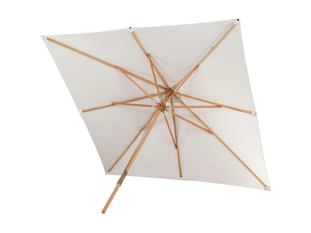 Naxos parasol wit, natuur.