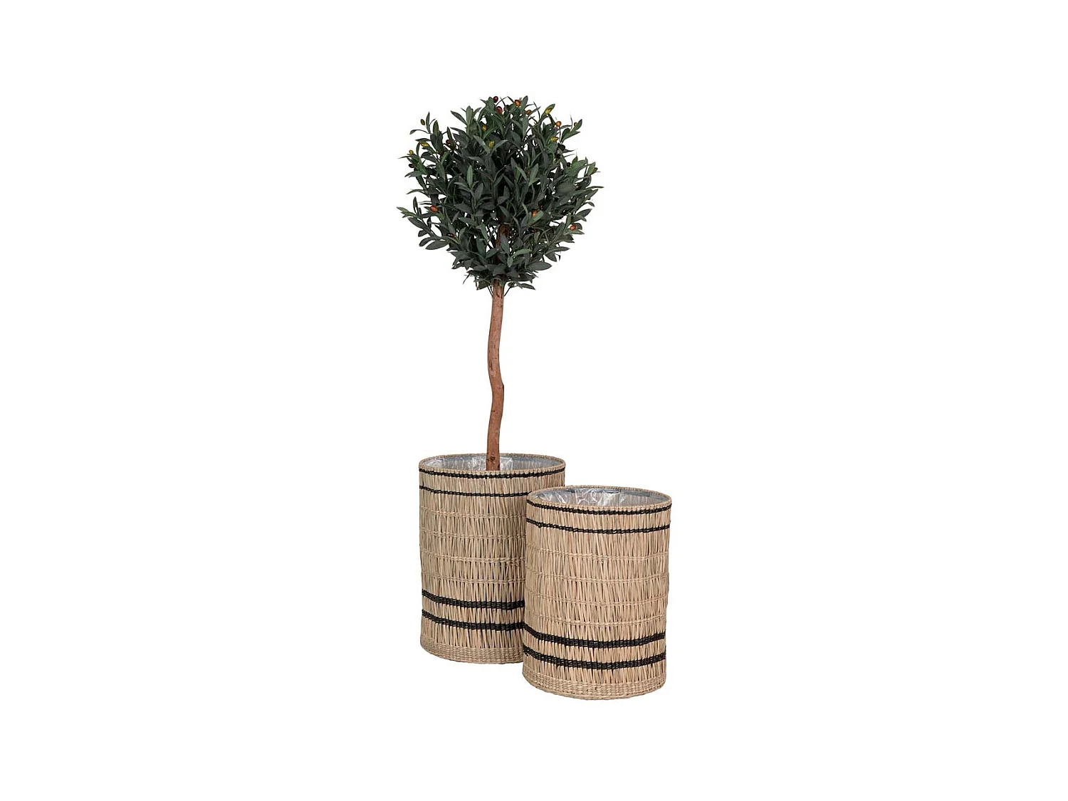 Vinh abris pour plantes lot de 2 pièces extérieur naturel.