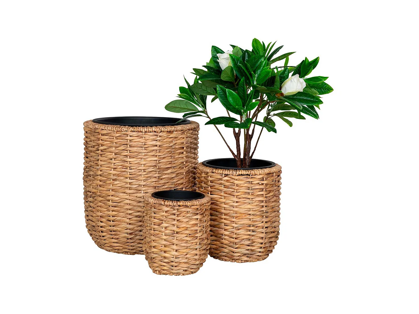 Hanoi abris pour plantes lot de 3 pièces extérieur naturel.