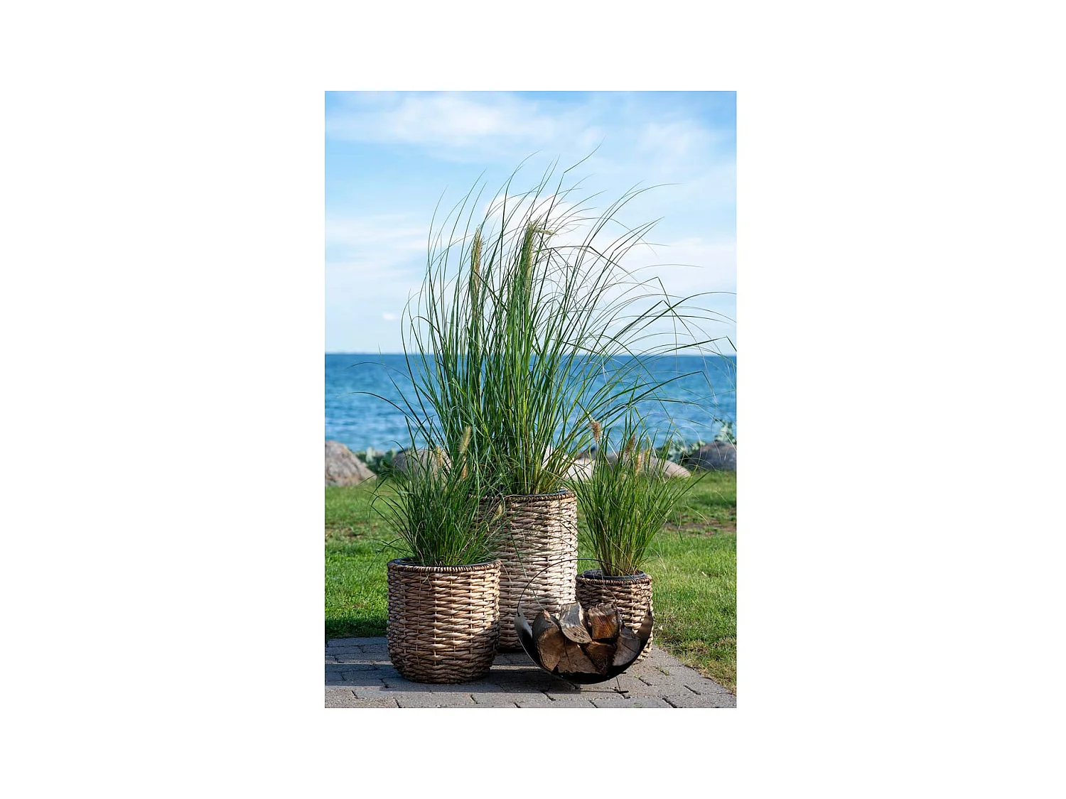 Hanoi abris pour plantes lot de 3 pièces extérieur naturel.