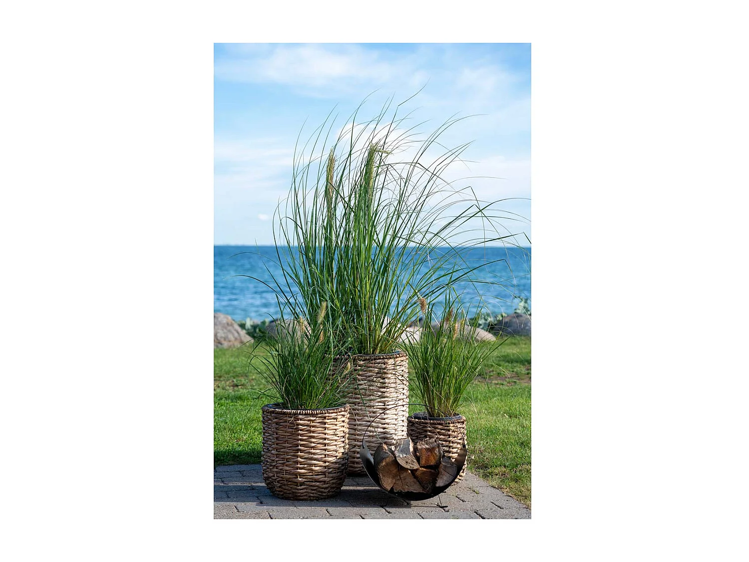 Hanoi planten schuilplaatsen set van 3 stuks. buitenshuis naturel.