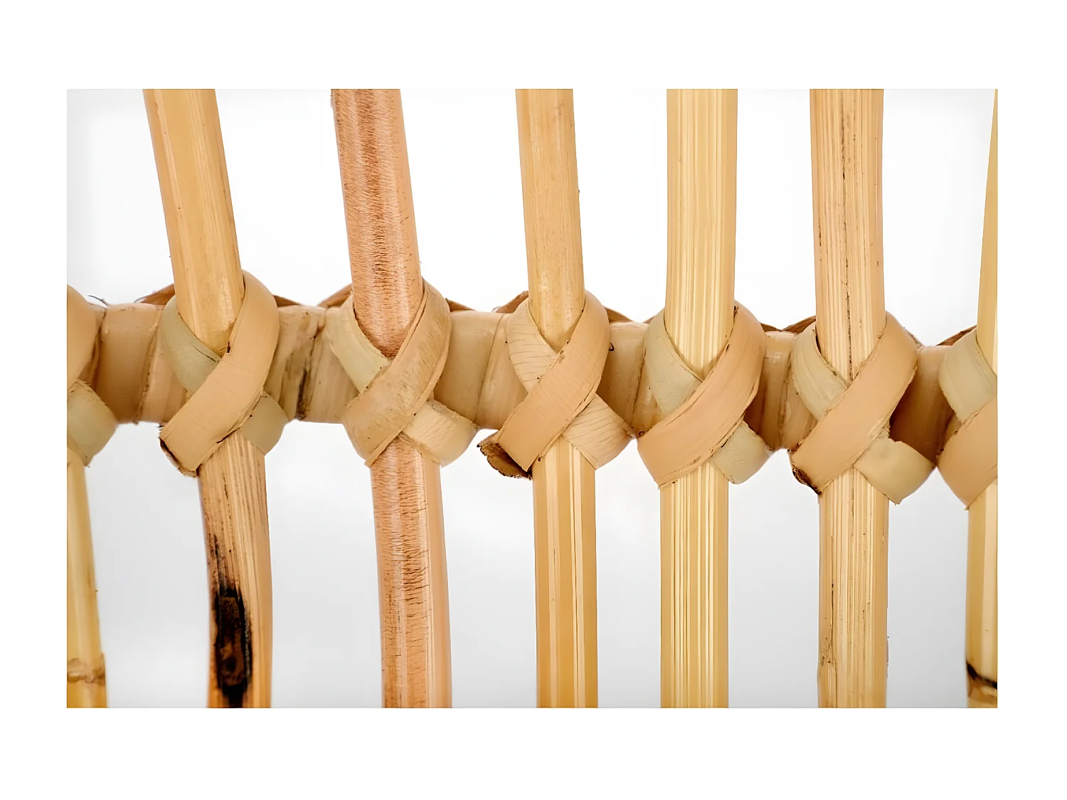 Sedia a conchiglia B335/Marrone