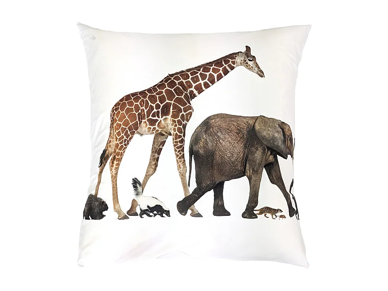 Taie d'oreiller imprimée 65x65 cm en 100% percale de coton NOÉ blanc