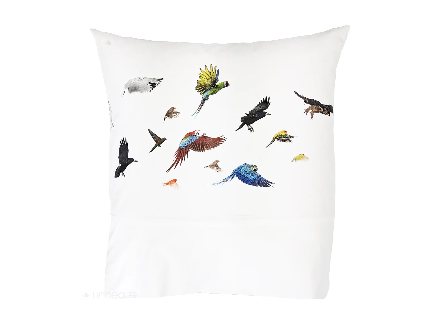 Taie d'oreiller imprimée 65x65 cm en 100% percale de coton NOÉ blanc