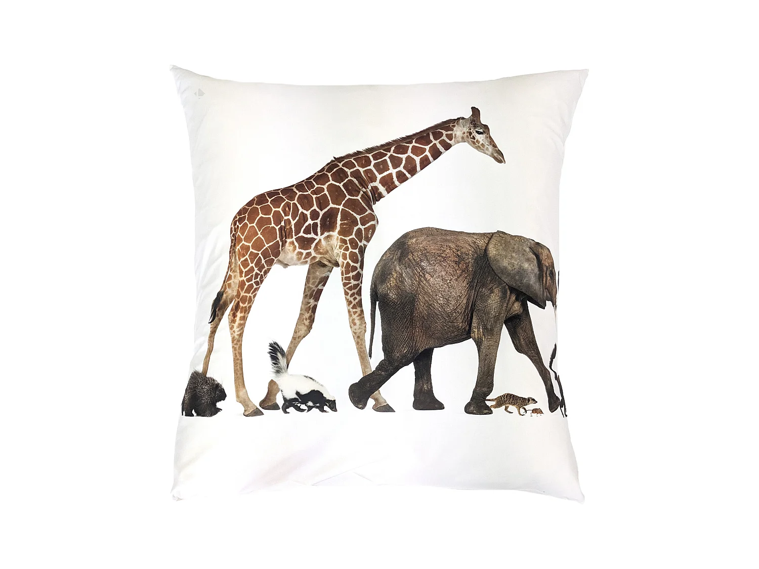 Taie d'oreiller imprimée 65x65 cm en 100% percale de coton NOÉ blanc
