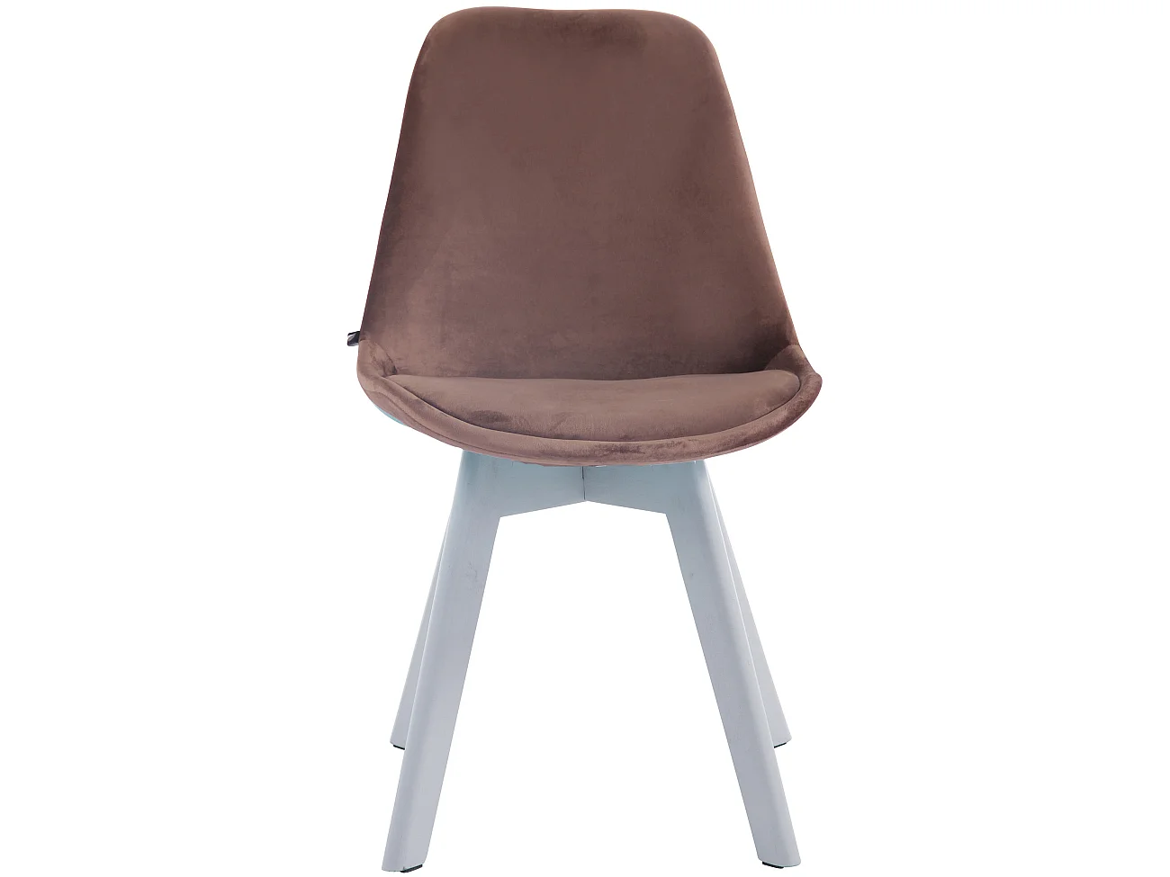 chaise salle à manger - Velours & Blanc - Marron - Borneo