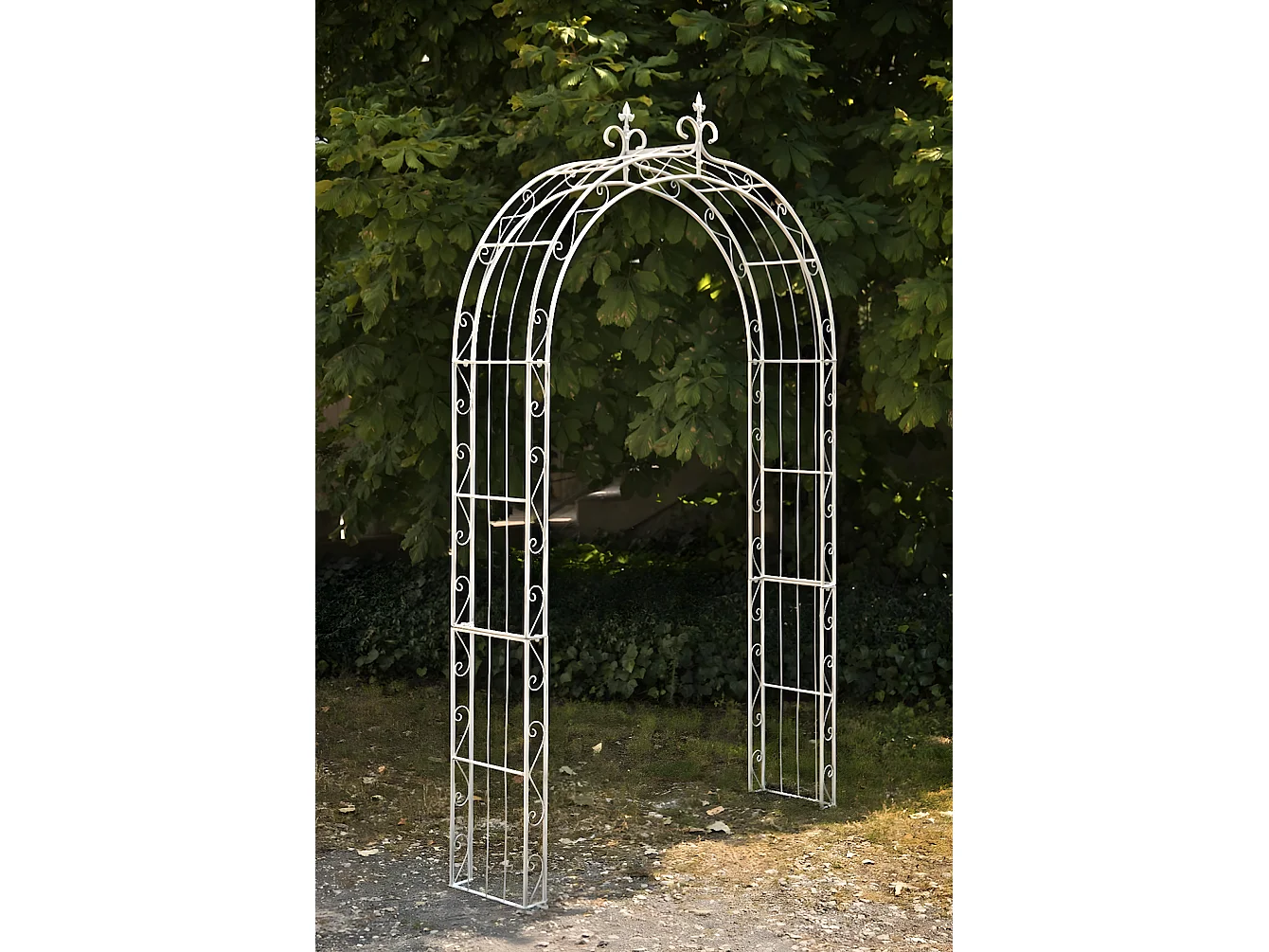 Arche à rosiers - Métal & Métal - Blanc antique - Sun