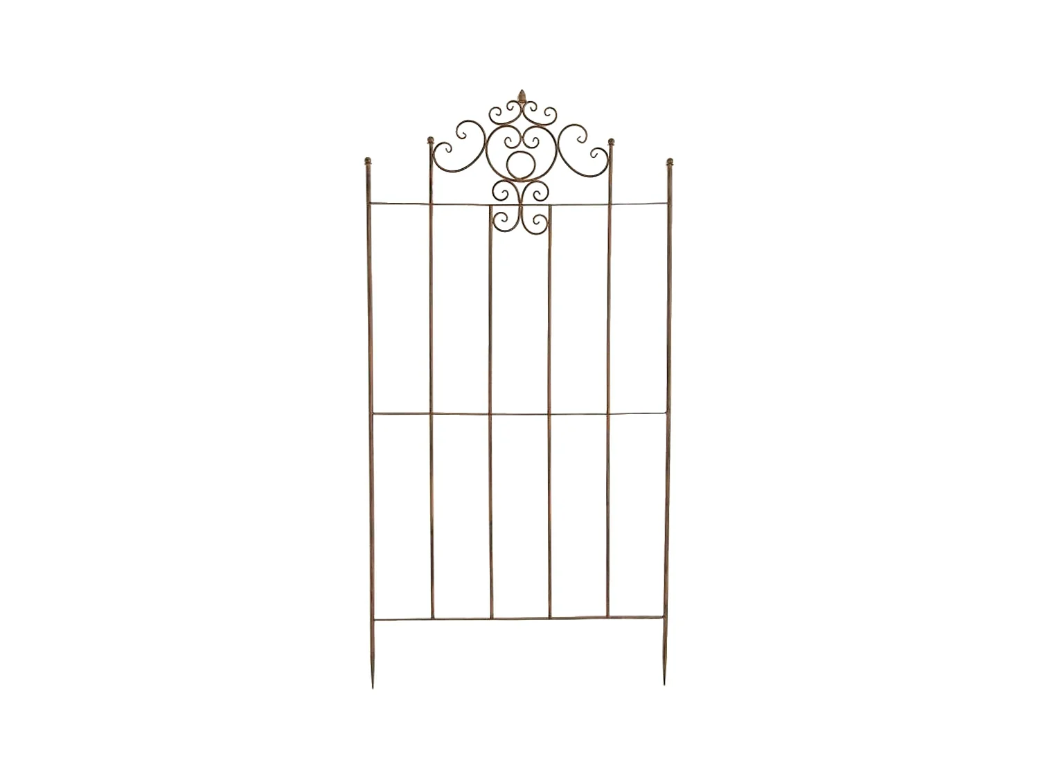 Rankgitter - Metall - antik braun - Paula