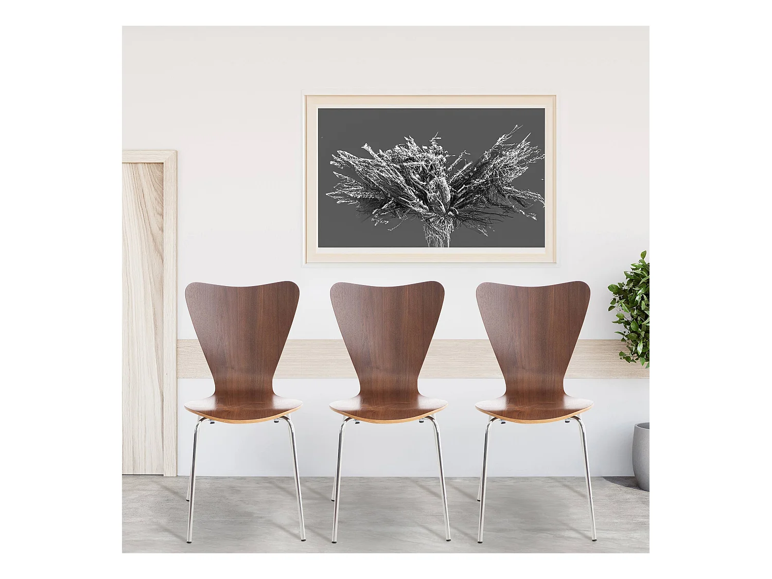 Chaise de conférence - Bois & Blanc - Noyer - Calisto