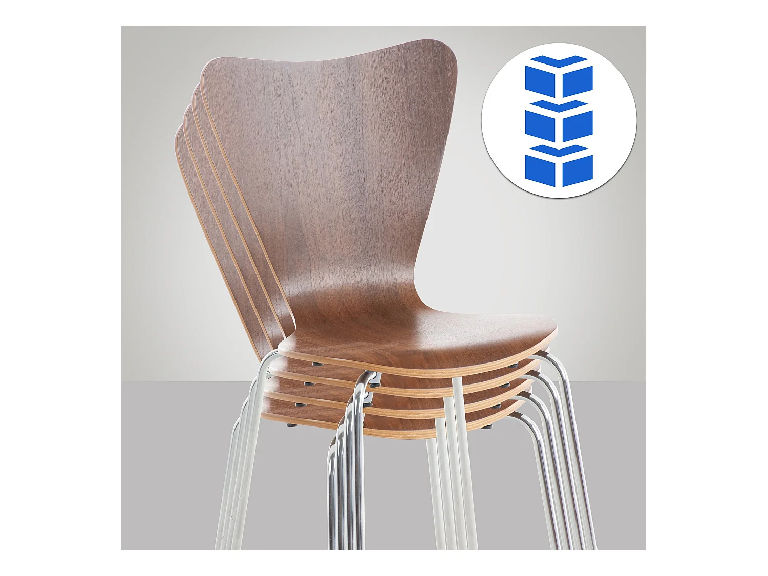 Chaise de conférence - Bois & Blanc - Noyer - Calisto